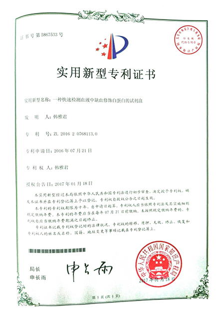 實用新型專利1
